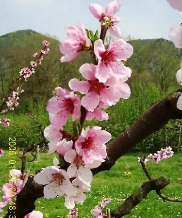 Donau-rad-hotel Wachauerhof