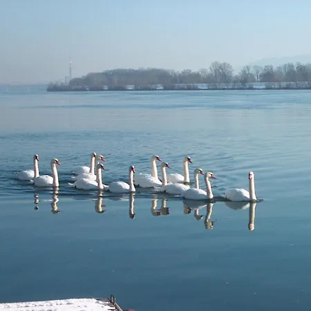 Donau-rad-hotel Wachauerhof 4*