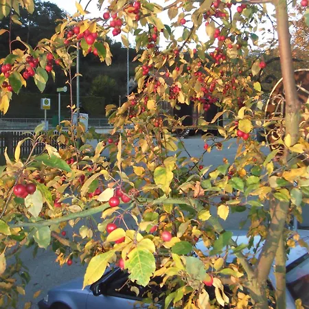 Donau-rad-hotel Wachauerhof Marbach an der Donau