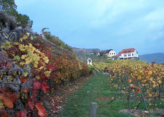 Donau-rad-hotel Wachauerhof 4* Marbach an der Donau