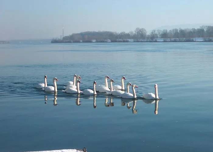 Donau-rad-hotel Wachauerhof 4*