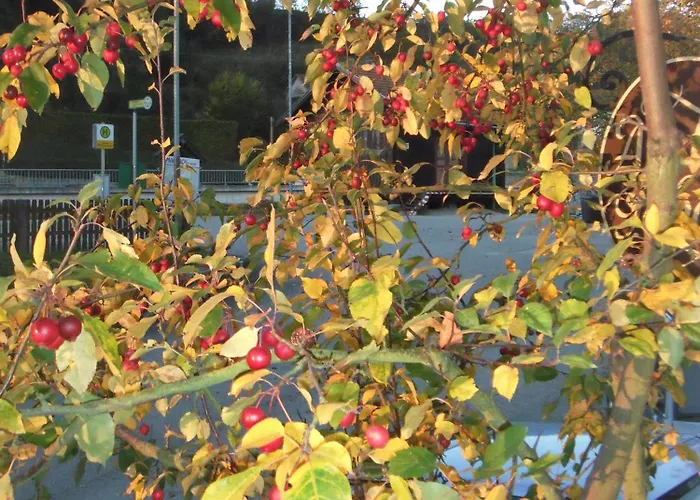 Donau-rad-hotel Wachauerhof Marbach an der Donau